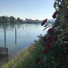 Rhein Promenade