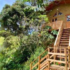 La Casa En El Bosque