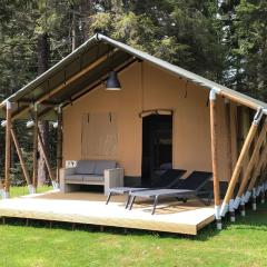 Budget Glamping Safaritent - La Steniole