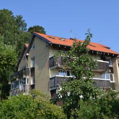 Austėja ir Guboja apartmentai