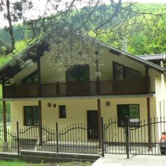 Nordic Villa Chiflika