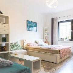 Beautiful Cozy 1-Room apartment, near Rhine