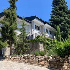 Gran chalet con piscina y apartamento en Navacerrada