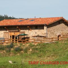 Gîte Saint-Romain-d'Urfé, 6 pièces, 10 personnes - FR-1-496-185