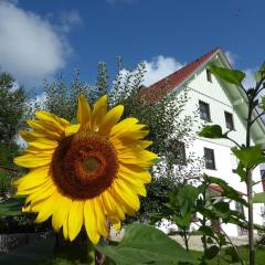 erholungsraum Karsee - Ferienwohnung