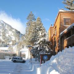 Spacious Snowbird Condo Unit Slopeside In Quiet Canyon Neighborhood