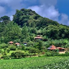 芬卡奈比那德尔博斯克山林小屋