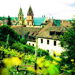 Youth Hostel Würzburg