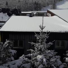 appartement 6 personnes au coeur de super besse