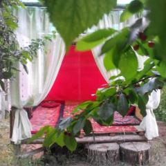 Guest House Dinara