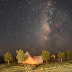 Skyline eco-camp