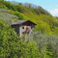fantastica villa fra le Alpi valtellinesi