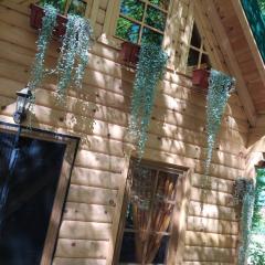 Brvnara Fairy Tale