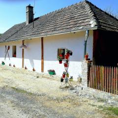 Traditionelles Bauernhaus Flieder