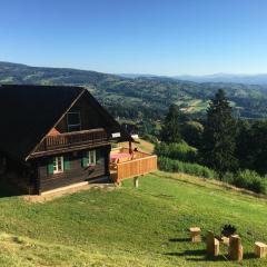 Ferienhaus Trausibauer