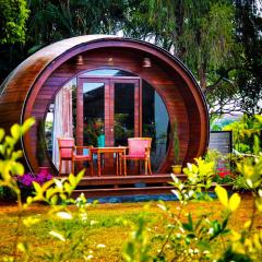 Regenta Resort Soma Vine Village Nashik
