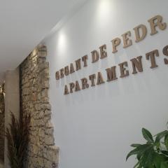 Gegant de Pedra Apartaments