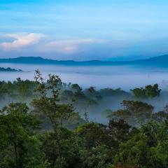 Jade Hills Coorg