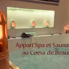 Appart' Spa et Sauna Privatif Au Cœur De Beaune