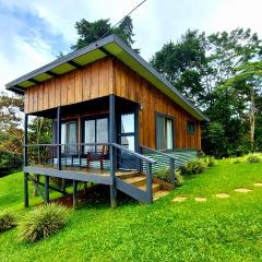 The Lodge at Reventazon River Mountain Ranch