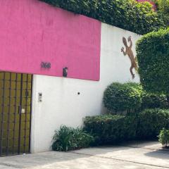 Hostal Cuija Coyoacan Berlin 268 Coyoacan