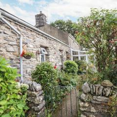 Cwm Caeth Cottage