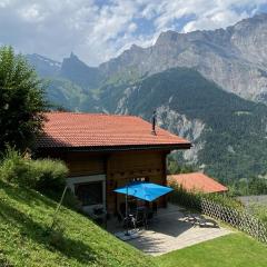 Chalet Alpilles - Chalet familial, récent, tout équipé