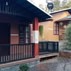 Wayanad Cocos Villa