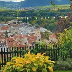 Blick über Krems mit Gartenpavillon