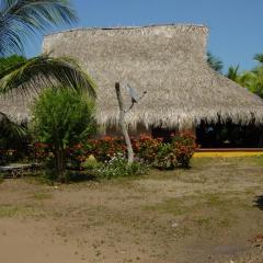 La Coralina azul