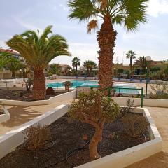 Las Torres Del Castillo-120 Palms