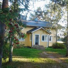Beautiful 4 Bed cottage in Elimaki with wood sauna