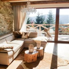 Chalet Rebeca 12 beds Donovaly