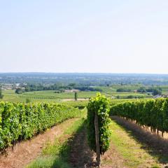 CLOS SAINT SAUVEUR - guesthouse au coeur des vignes sur le coteau