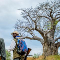 Nkula Camp - Pafuri Walking Safari's