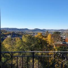 Salorino Apartments by Quokka 360 - with a view of nature