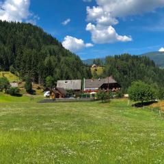Haus Edlinger inclusive Murau Sommer Gäste Card