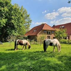 Leuk boerderijtje op prachtige plek, nabij natuurgebied