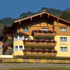 Appartement Alpenstern