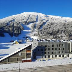 The Snow Crib Bjelasnica Apt