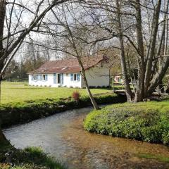 Au fil de l'eau à la campagne