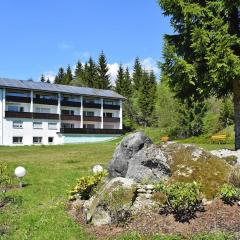 Apartment in Haidmühle in a beautiful area