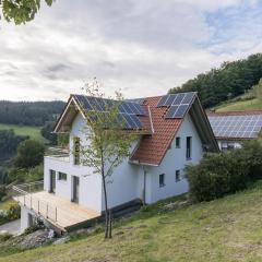 Ferienwohnungen am Dollenberg