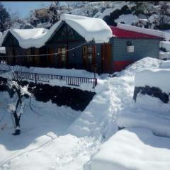 Nandan Kanan Auli Resort