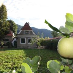 Bioweingut Schmidl Rosenstöckel