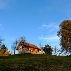 Cottage Golenovo