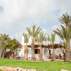 Palmhouses