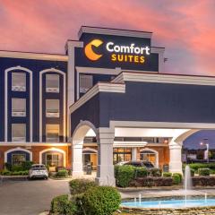 Comfort Suites Olive Branch - Memphis South