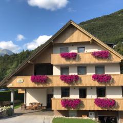 Apartments Maja by the river