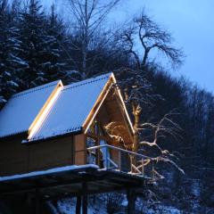 Ski Tree house - Tara Place